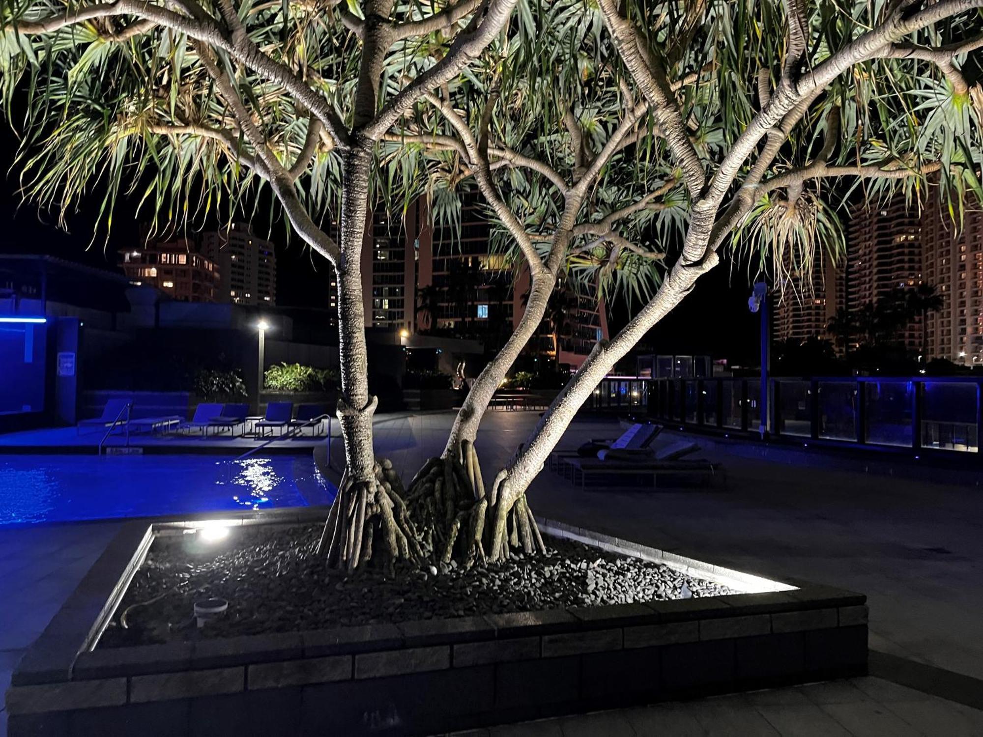 Circle On Cavil Holidays Gold Coast Exteriér fotografie